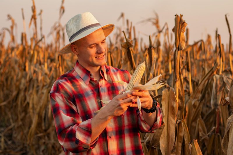 Marlow Campbell Insurance Group/ farm insurance